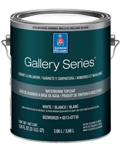 Benjamin Moore COMMAND Satin Satin paint can